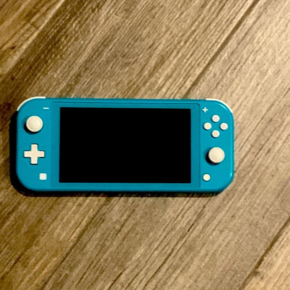 Nintendo switch lite